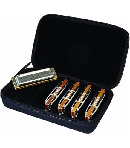 ハーモニカセット（Yamaha, Sydan, Hohner） 61x5N-Wv6dL._UF350,350_QL50_.jpg